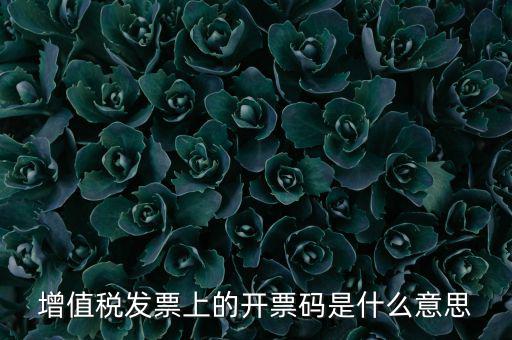 增值稅發(fā)票上的開(kāi)票碼是什么意思