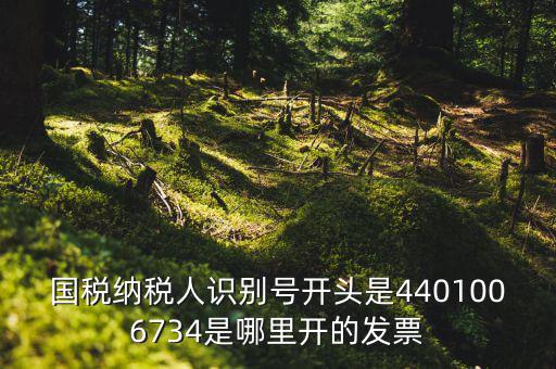 國(guó)稅納稅人識(shí)別號(hào)開(kāi)頭是4401006734是哪里開(kāi)的發(fā)票