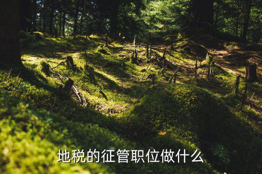 省地稅局是做什么的，地方稅務(wù)局