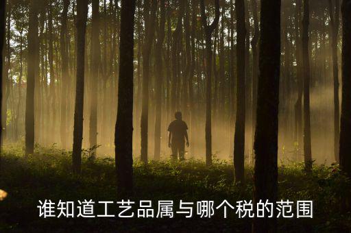 誰知道工藝品屬與哪個(gè)稅的范圍