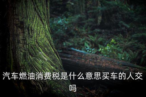 成品油消費(fèi)稅什么意思，成品油消費(fèi)稅和燃油稅