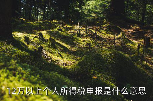 個(gè)稅12萬(wàn)申報(bào)是什么意思，12萬(wàn)以上個(gè)人所得稅申報(bào)是什么意思