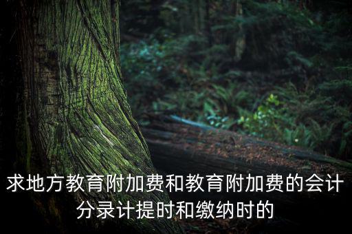 地方教育費(fèi)附加是什么意思，教育費(fèi)附加代表什么意思