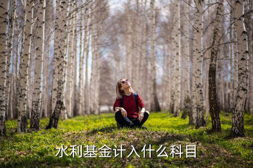 水利基金指什么，水利基金計入什么科目