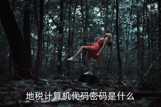 地稅稅務(wù)登陸密碼是什么意思，湖北地稅網(wǎng)絡(luò)發(fā)票登陸密碼是什么急急急