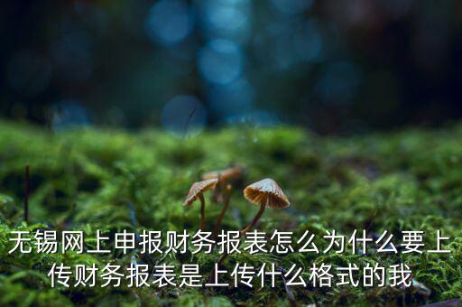 為什么要上傳報(bào)表，無(wú)錫網(wǎng)上申報(bào)財(cái)務(wù)報(bào)表怎么為什么要上傳財(cái)務(wù)報(bào)表是上傳什么格式