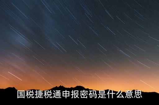 國(guó)稅申報(bào)登陸密碼是什么意思，國(guó)稅第一次網(wǎng)上申報(bào)的登陸密碼是什么
