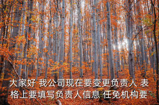 大家好 我公司現(xiàn)在要變更負(fù)責(zé)人 表格上要填寫(xiě)負(fù)責(zé)人信息 任免機(jī)構(gòu)要