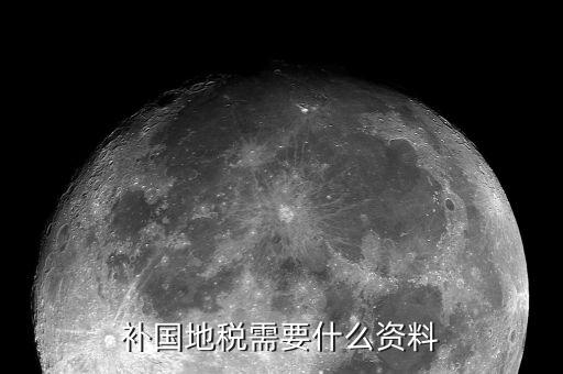 深圳國稅補報稅需要什么資料，補國地稅需要什么資料