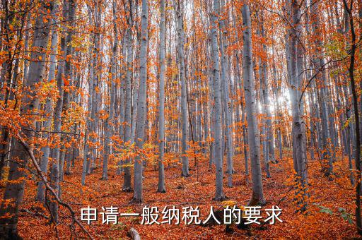 納稅人需求什么，申請(qǐng)一般納稅人的要求