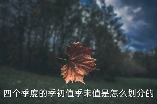 季初值和季末值是什么，四個季度的季初值季未值是怎么劃分的