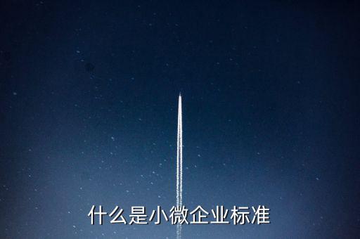 什么樣的標(biāo)準(zhǔn)是小薇企業(yè)，什么是小微企業(yè)標(biāo)準(zhǔn)