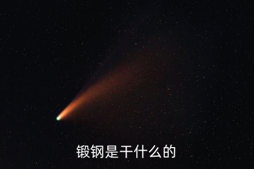 弘遠(yuǎn)泰斯是干什么的，飛踏是干什么的