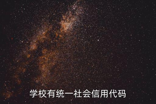 社會識別代碼是什么問題，社會信用代碼是不是納稅人識別號