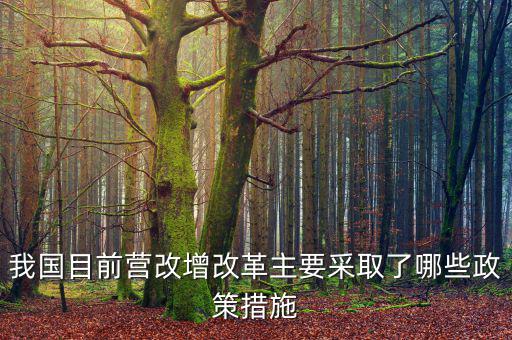 目前營改增政策暫不包括什么，營改增的范圍不包括  A軌道交通運輸 B航空公司出租飛機配