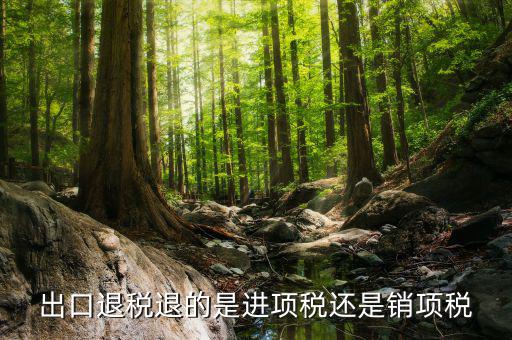 出口退稅退的是什么稅，出口退稅退的是進(jìn)項(xiàng)稅還是銷項(xiàng)稅