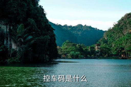 控稅碼在什么位置，新注冊的有限公司稅務(wù)管理碼是什么啊要在哪里才知道