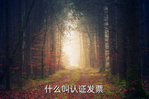 什么叫認(rèn)證發(fā)票，什么叫認(rèn)證增值稅發(fā)票如何認(rèn)證好像還有手工認(rèn)證是怎么回事啊