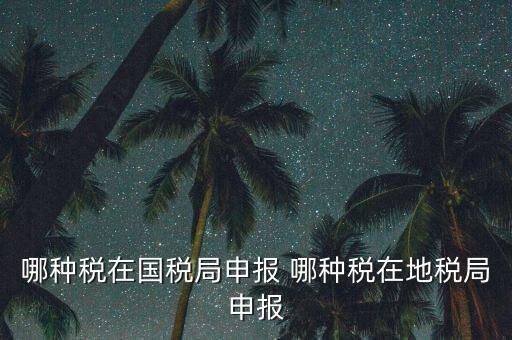 國稅局可以申報什么稅，在國稅申報的稅種有哪些稅率是多少