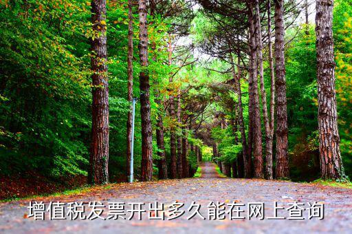 發(fā)票什么時(shí)候網(wǎng)上能查到，對(duì)方開具的增值稅發(fā)票什么時(shí)候能上網(wǎng)查詢到