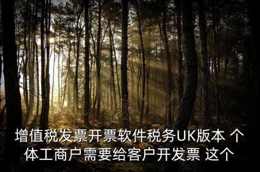增值稅發(fā)票開(kāi)票軟件稅務(wù)UK版本 個(gè)體工商戶需要給客戶開(kāi)發(fā)票 這個(gè)