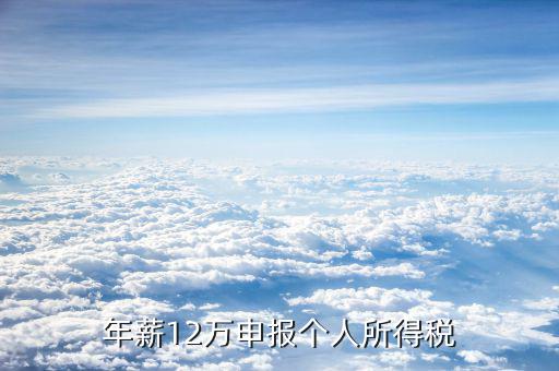12萬(wàn)申報(bào)有什么好處，12萬(wàn)報(bào)稅的意義