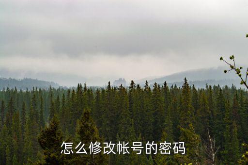 如何修改稅務(wù)賬號(hào)密碼是什么，山東省國(guó)家稅務(wù)局網(wǎng)上辦稅平臺(tái)納稅人的密碼怎么改