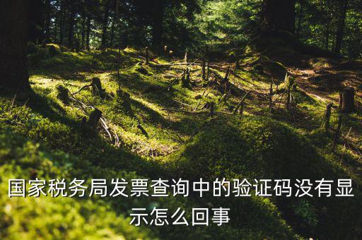 國(guó)家稅務(wù)局發(fā)票查詢中的驗(yàn)證碼沒有顯示怎么回事