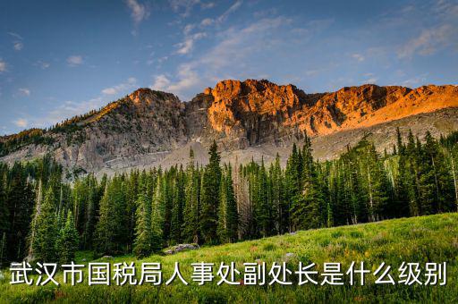 國稅局處長什么級別，南昌市國稅局局長是什么級別