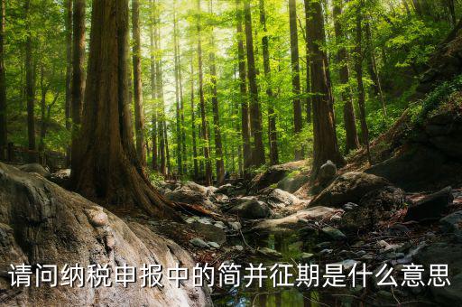 簡(jiǎn)并征期是什么意思，期是什么意思