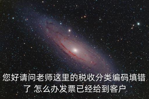 稅收分類編碼錯(cuò)誤的是什么，汽車導(dǎo)航儀稅收分類編碼是什么