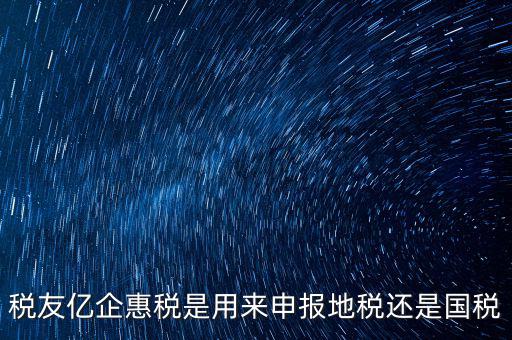 稅友報稅的是什么，稅友億企惠稅是用來申報地稅還是國稅