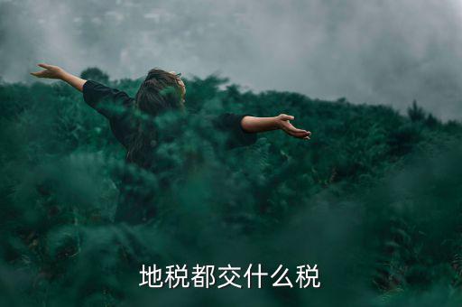 地稅需要報什么稅種，地稅應(yīng)交哪些稅