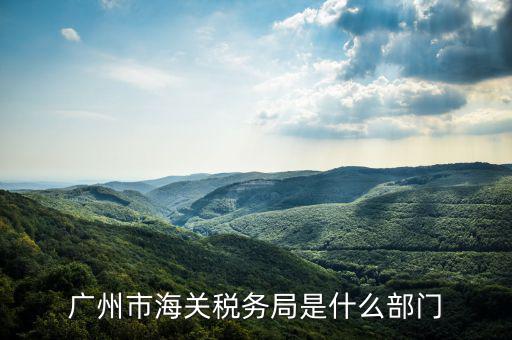 稅務(wù)總局國際司干什么，國家稅務(wù)總局是正部級
