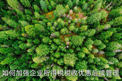 如何加強(qiáng)企業(yè)所得稅稅收優(yōu)惠后續(xù)管理