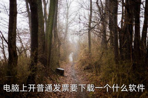 網(wǎng)絡(luò)開票需要下載什么軟件下載，電腦打發(fā)票是不是要下載一個(gè)什么軟件