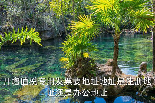 開(kāi)增值稅專(zhuān)用發(fā)票要地址地址是注冊(cè)地址還是辦公地址