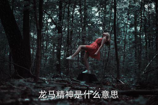 湖北國稅精神是什么意思，神志不清精神不能集中是什么詞的意思