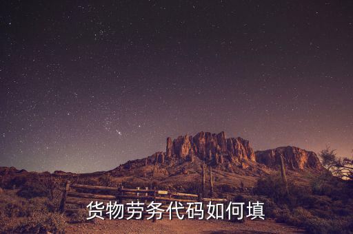 貨物勞務代碼是什么，貨物勞務代碼如何填