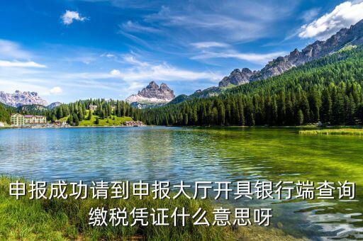 銀行端查詢(xún)繳稅憑證蓋什么章，銀行端查詢(xún)繳款憑證工會(huì)蓋什么章