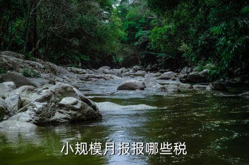 小規(guī)模納稅人季報(bào)什么，公司是小規(guī)模納稅人月報(bào)和季報(bào)時(shí)國(guó)稅和地稅各需報(bào)什么  搜
