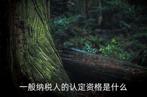 一般納稅人資格證是什么，請問一般納稅人應(yīng)有什么證