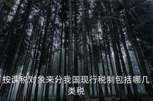 什么是現(xiàn)行稅收制度，說(shuō)明中國(guó)現(xiàn)行稅制增值稅的具體稅制要素有哪些
