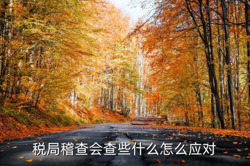 發(fā)票稽查查什么，稅局稽查會查些什么怎么應(yīng)對