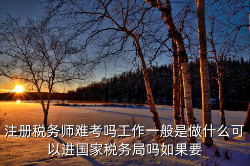 稅務(wù)師是什么，注冊稅務(wù)師能干什么待遇怎么樣