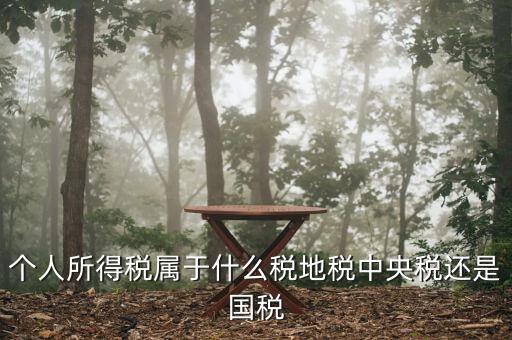 個(gè)人所得稅屬于什么稅地稅中央稅還是國稅