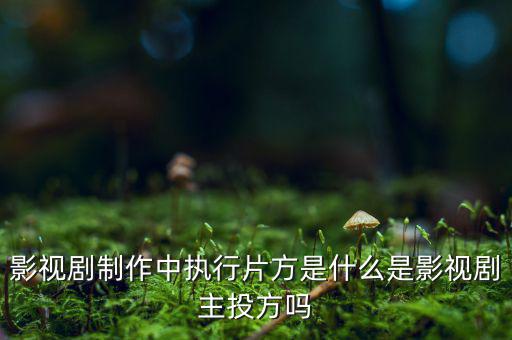 什么是分立主導(dǎo)方，股權(quán)分立是什么意思