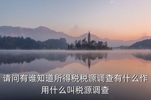 請(qǐng)問有誰(shuí)知道所得稅稅源調(diào)查有什么作用什么叫稅源調(diào)查