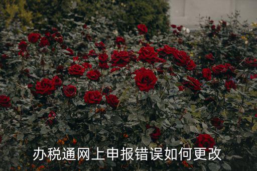更改辦稅人什么網(wǎng)站，國稅變更財(cái)務(wù)人員在哪里變更稅控盤上可以更改嗎