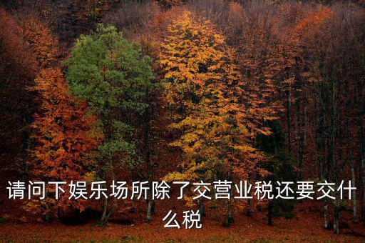 娛樂(lè)業(yè)交什么稅，請(qǐng)問(wèn)下娛樂(lè)場(chǎng)所除了交營(yíng)業(yè)稅還要交什么稅